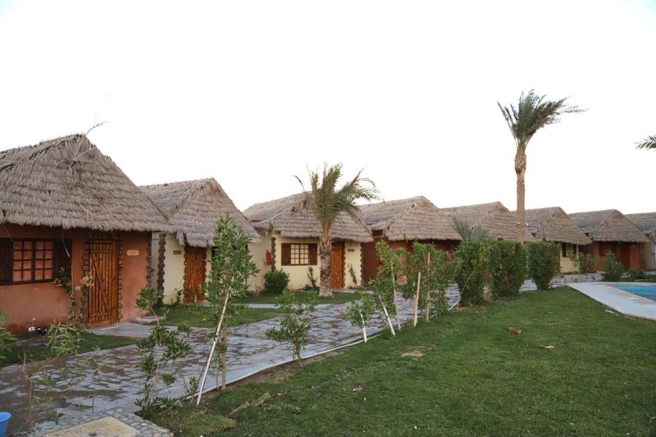 Rezort Panorama El Gouna
