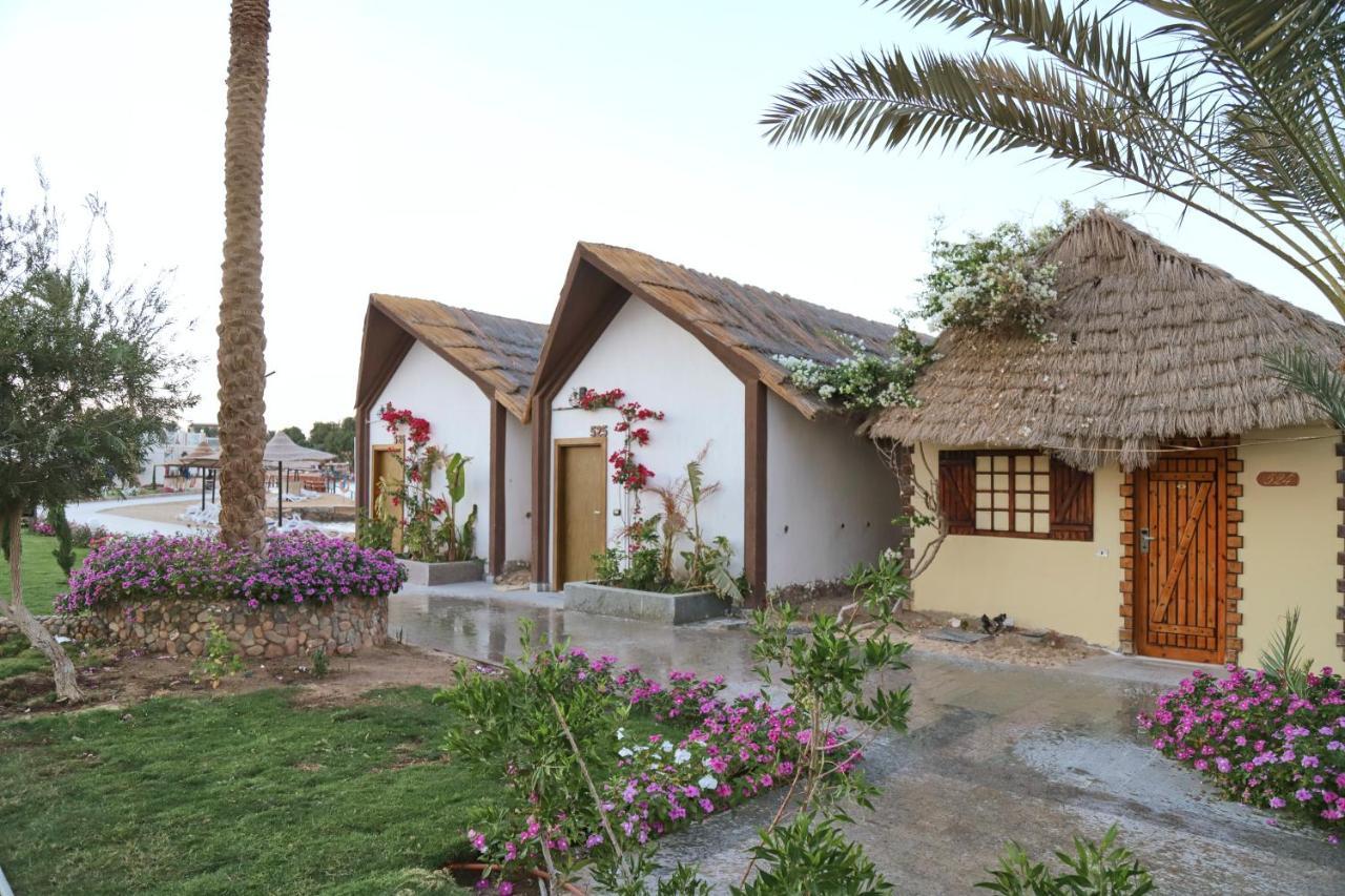 Panorama El Gouna Üdülőközpont Gurdaka